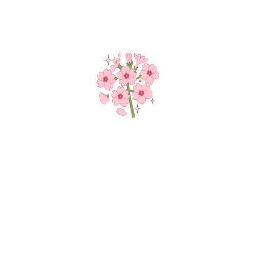 Flores para El Salvador